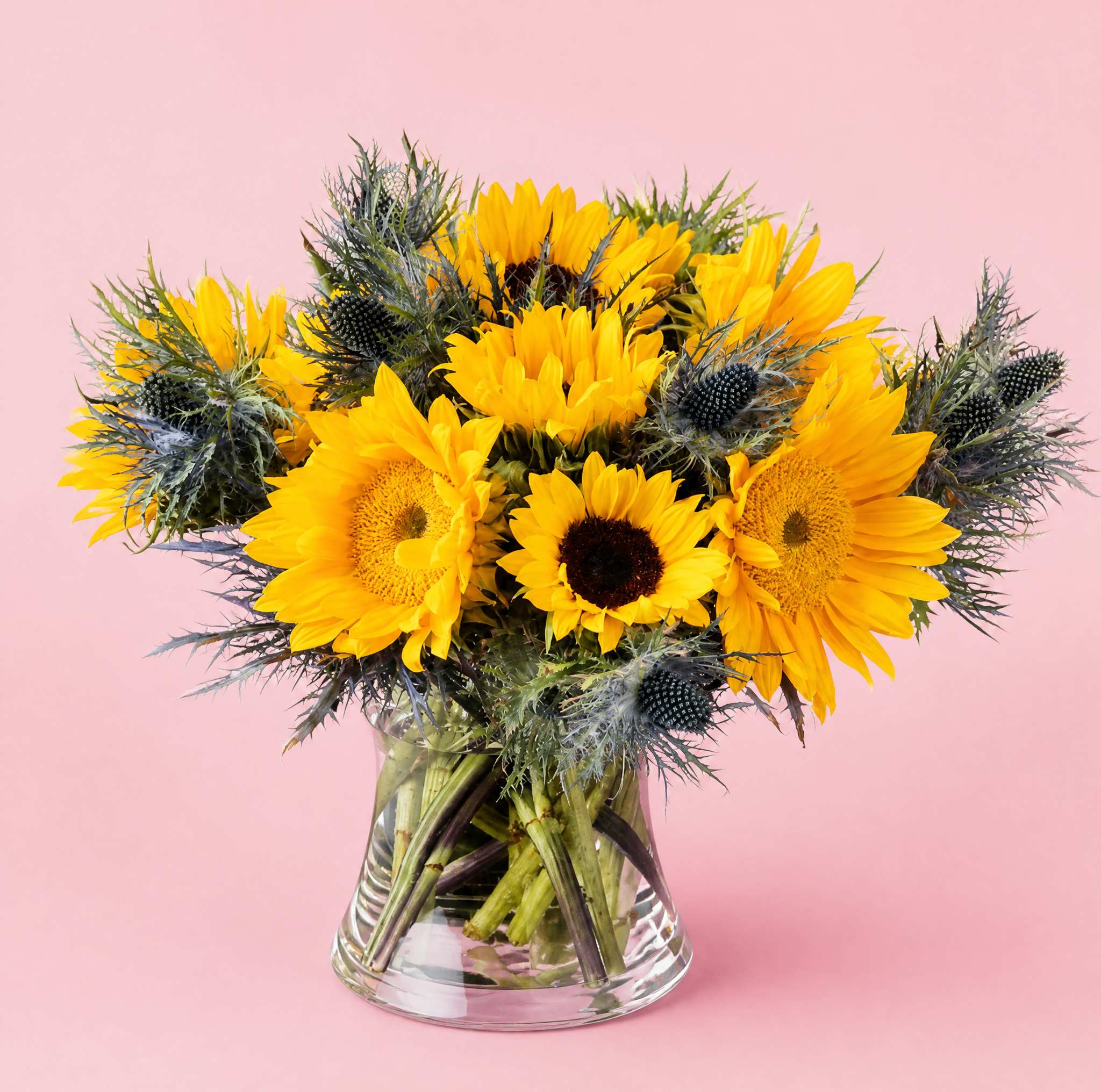 Sunflower bouquet in a clear glass vase on a pink background