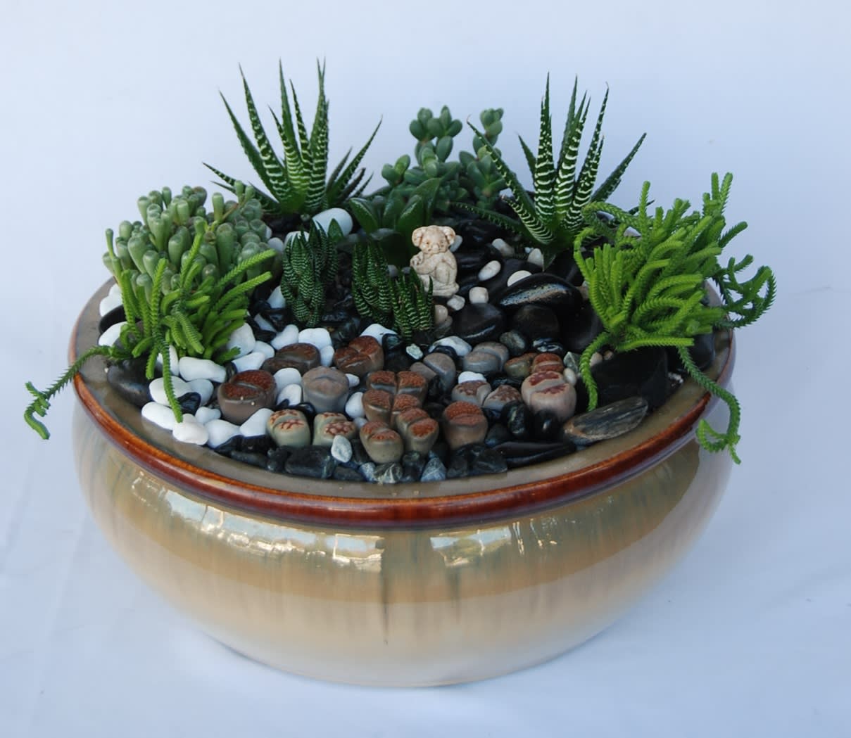 Zen Garden - A unique selection of succulents and rock succulents in a nice ceramic pot covered with river rocks.