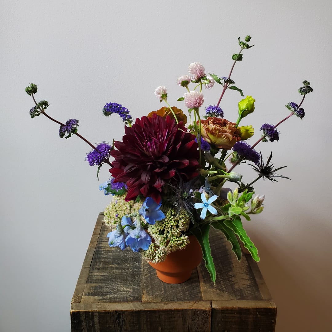 Mixed bouquet in a terracotta pot with burgundy, blue, and purple flowers