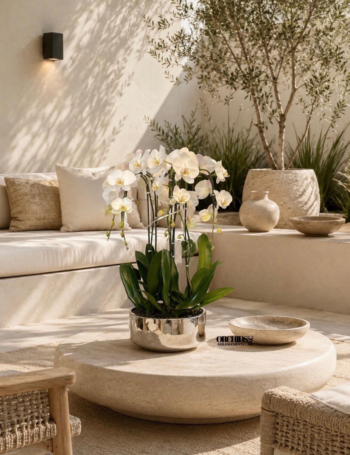 White orchids in a metallic pot on a low stone table