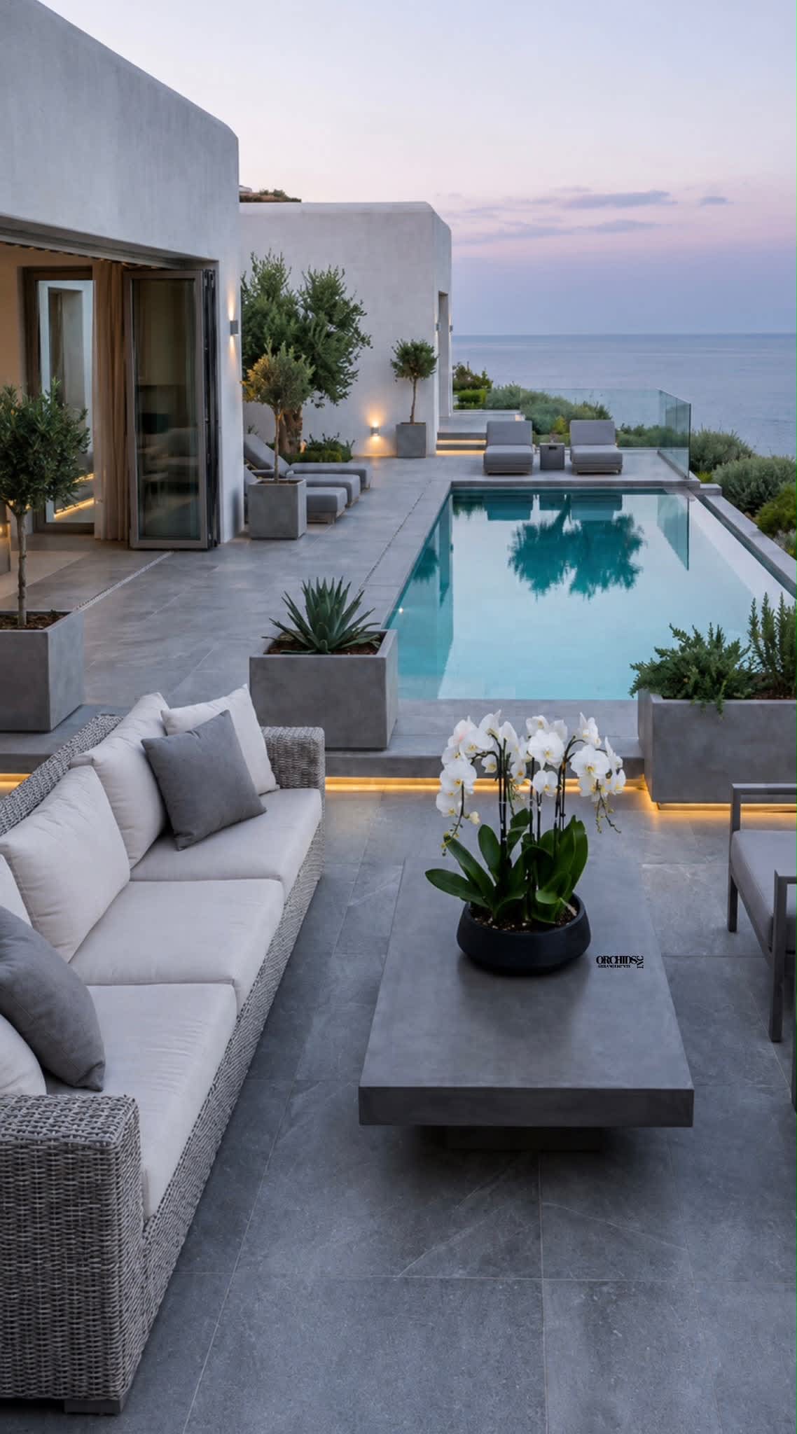 White orchids in a black pot on a modern patio beside a pool.