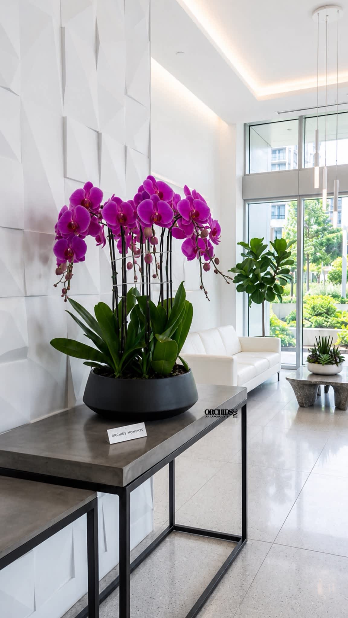 Potted purple orchids in a black planter on a table