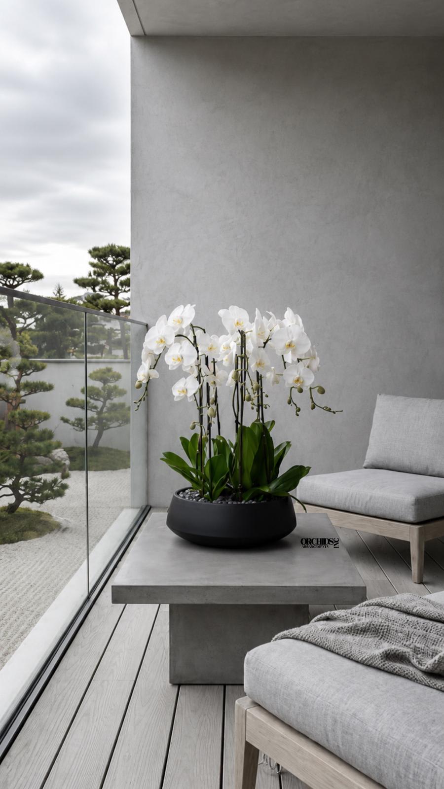 White orchids in a black bowl planter on a modern patio table