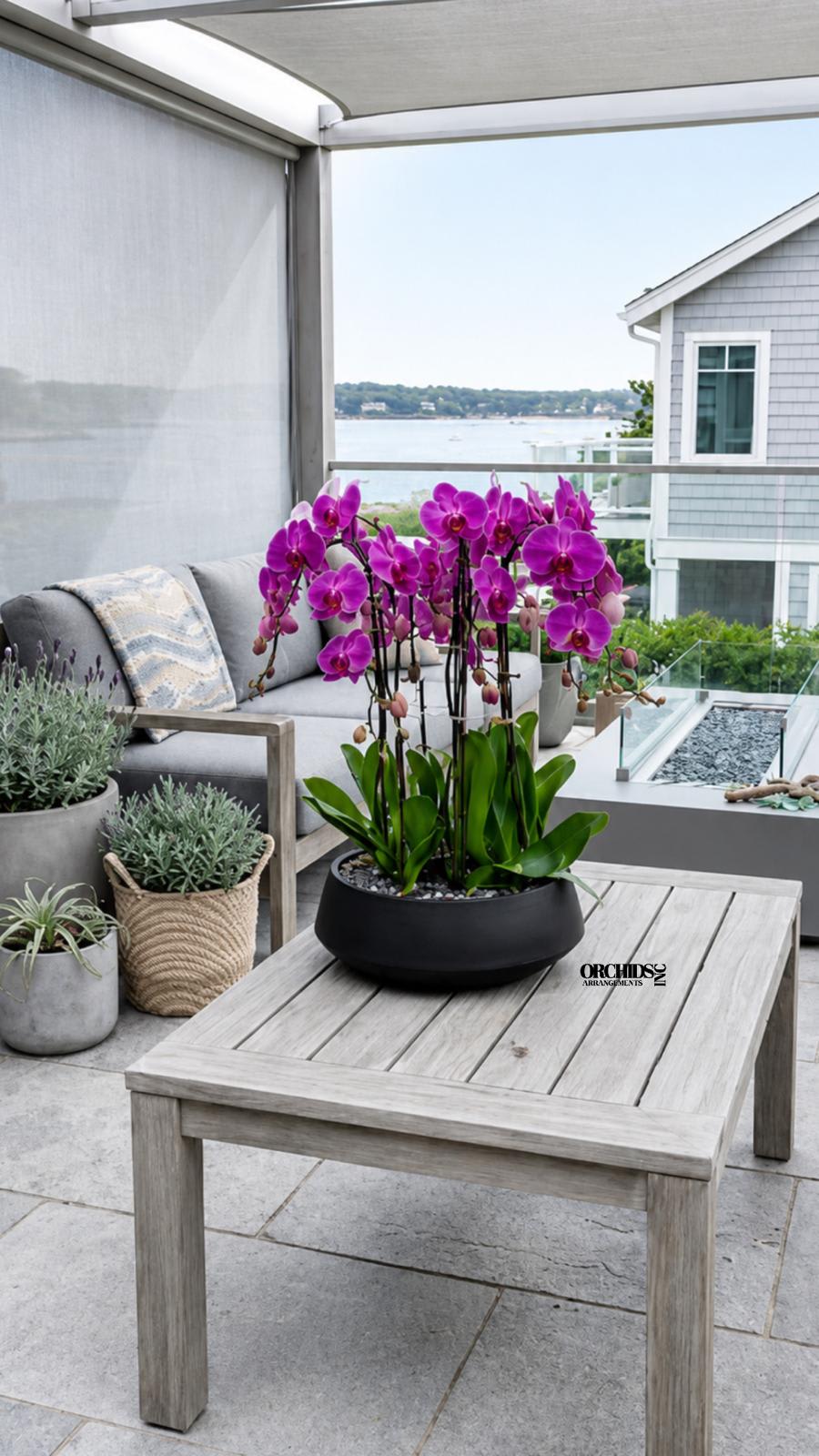 Potted purple orchids arranged on an outdoor patio table