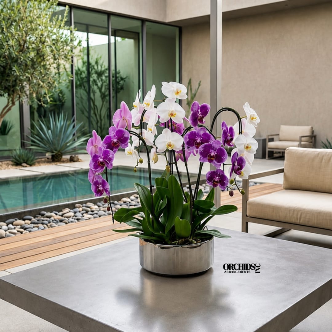 Potted purple and white orchids in a metal container on a patio table