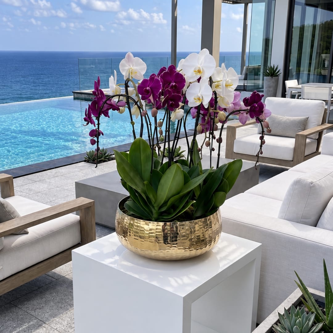 Potted orchids in white and purple on a gold bowl planter