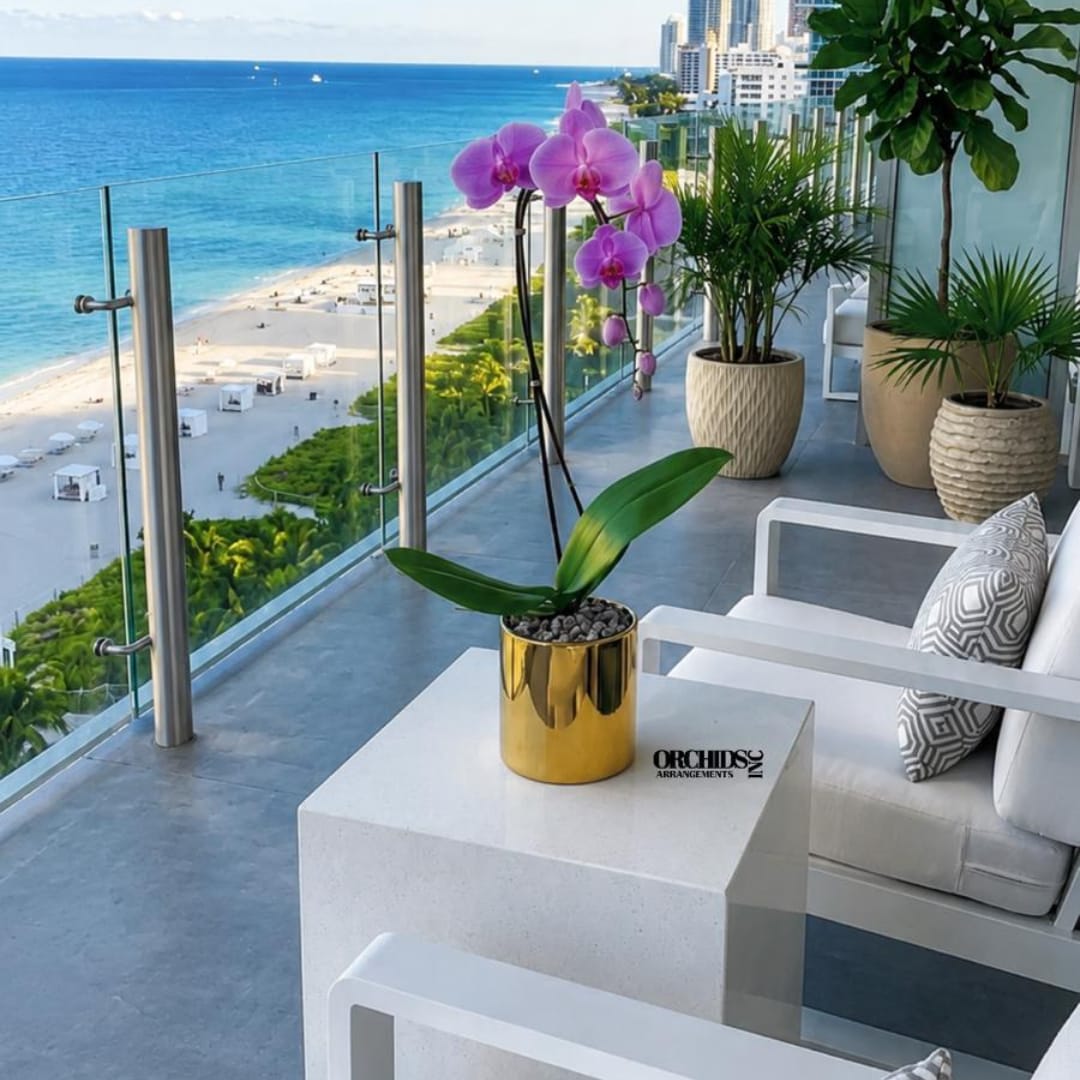 Potted purple orchid on a table beside a balcony seating area