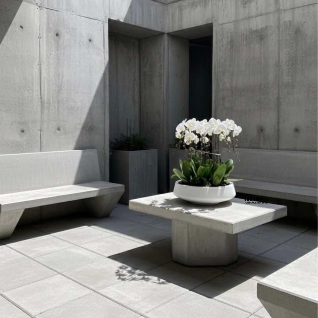 White orchids in a low white planter on a concrete table