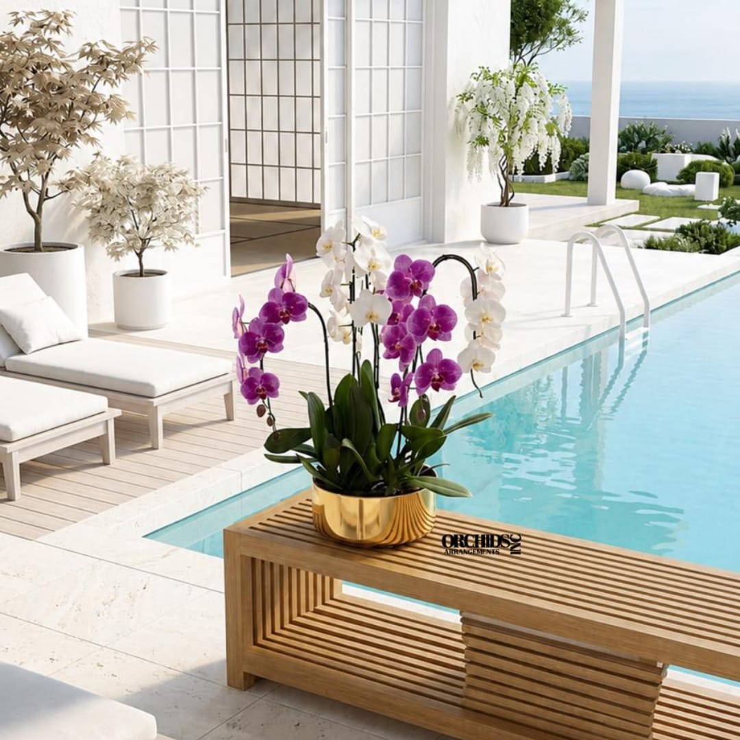 Potted orchids in white and purple on a wooden bench beside a pool