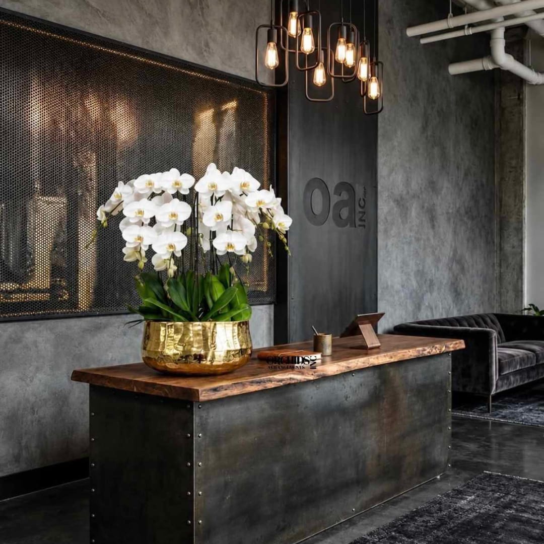 White orchids arranged in a gold bowl on a wooden table