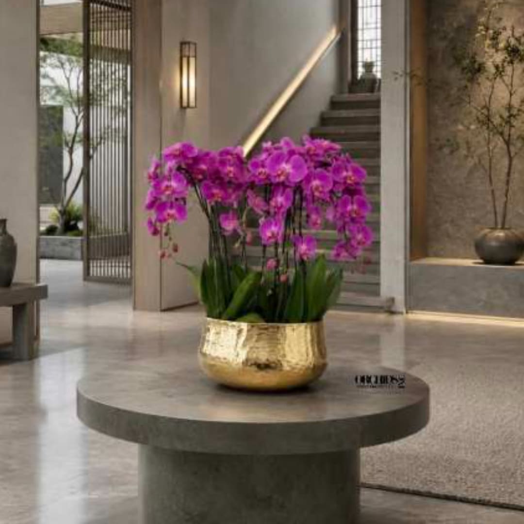 Purple orchids in a gold vase on a round table