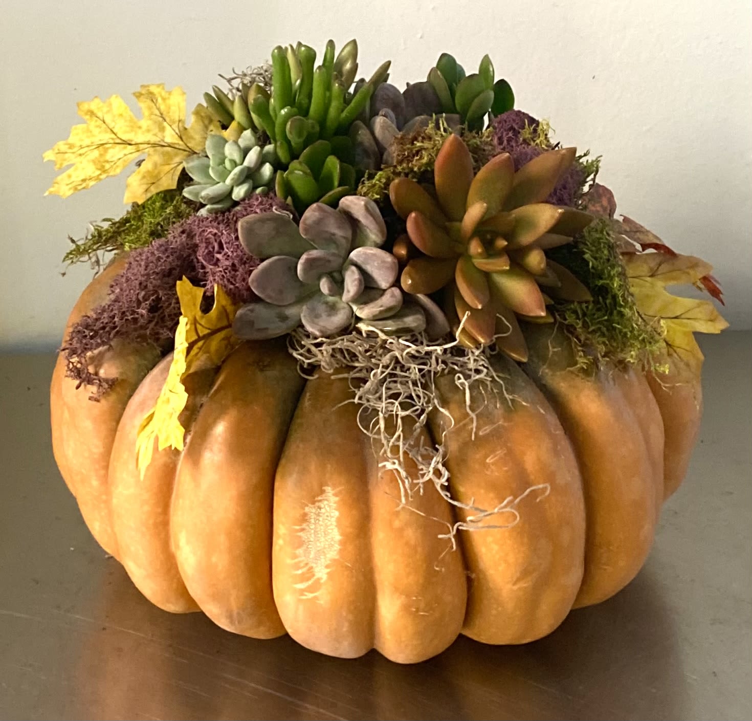 Pumpkin decorated with succulents  - Natural Pumpkin with succulents, moss and leaves 11” wide 8” tall 