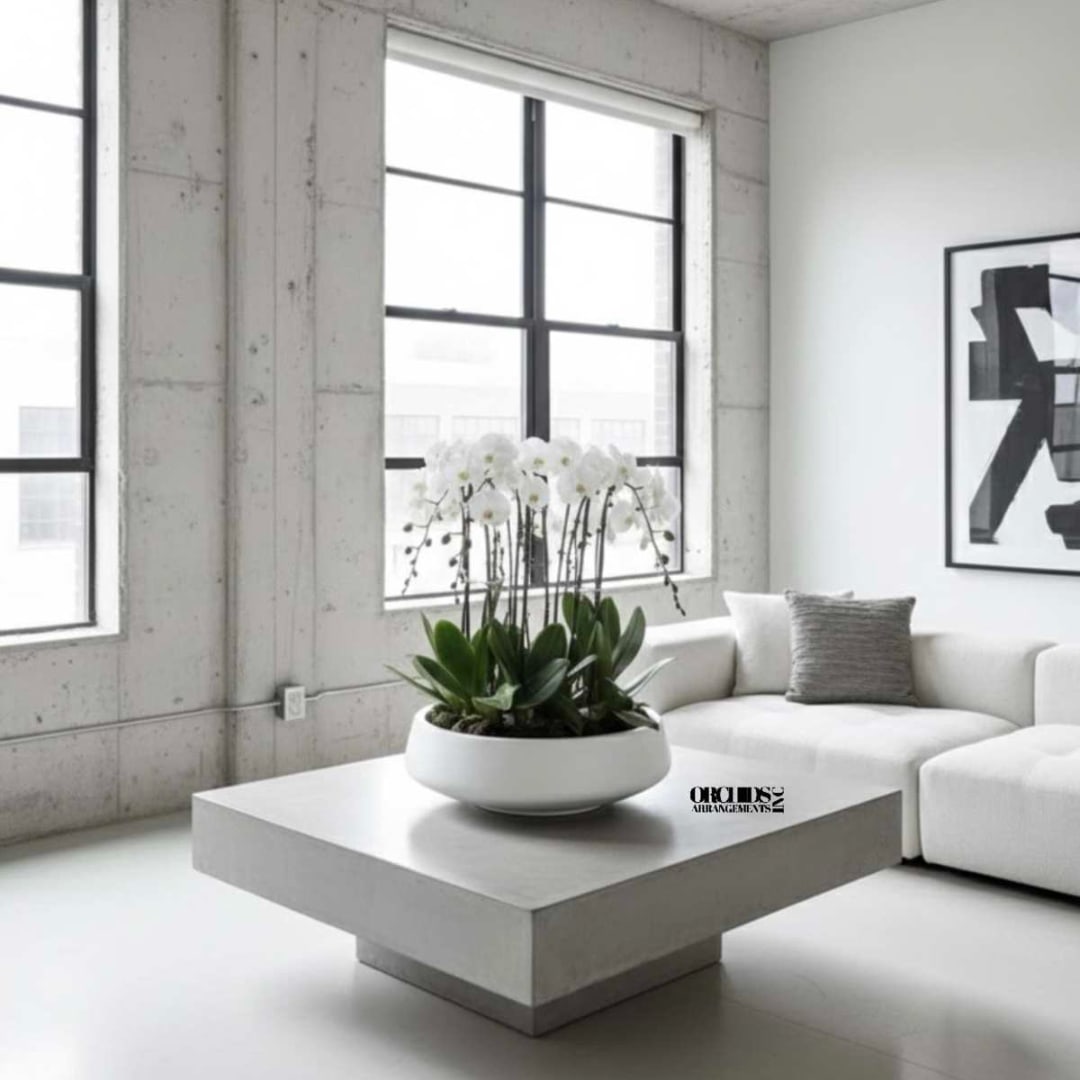 White orchids in a low white bowl on a coffee table