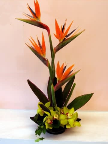 Tall tropical arrangement with orange bird-of-paradise and green orchids in a low container