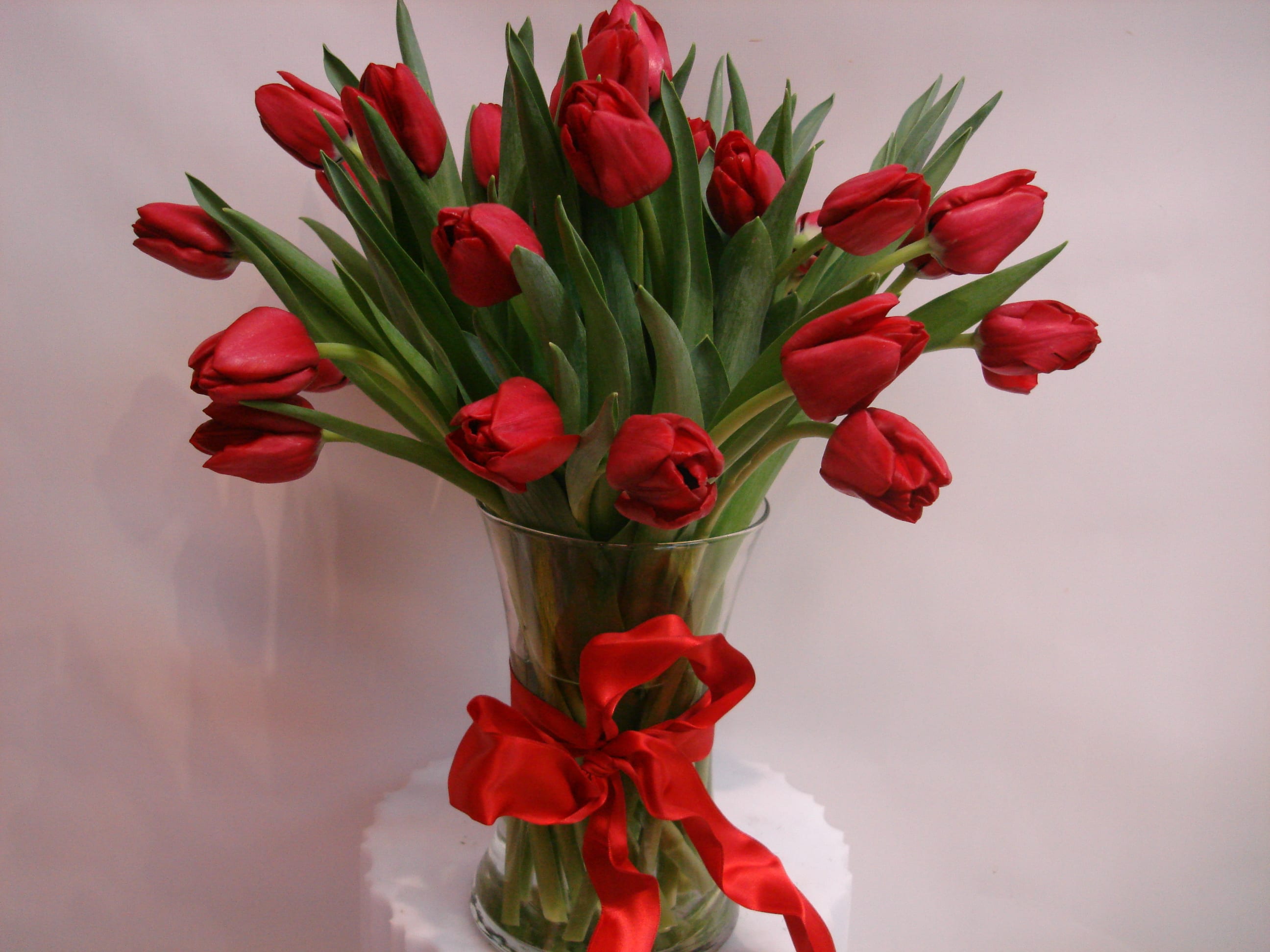 Red tulips arranged in a clear glass vase with a red ribbon