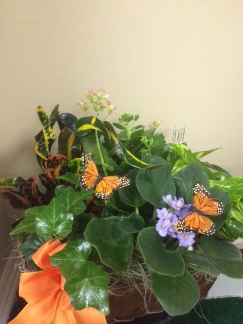 Potted plant arrangement with purple flowers and butterfly decorations