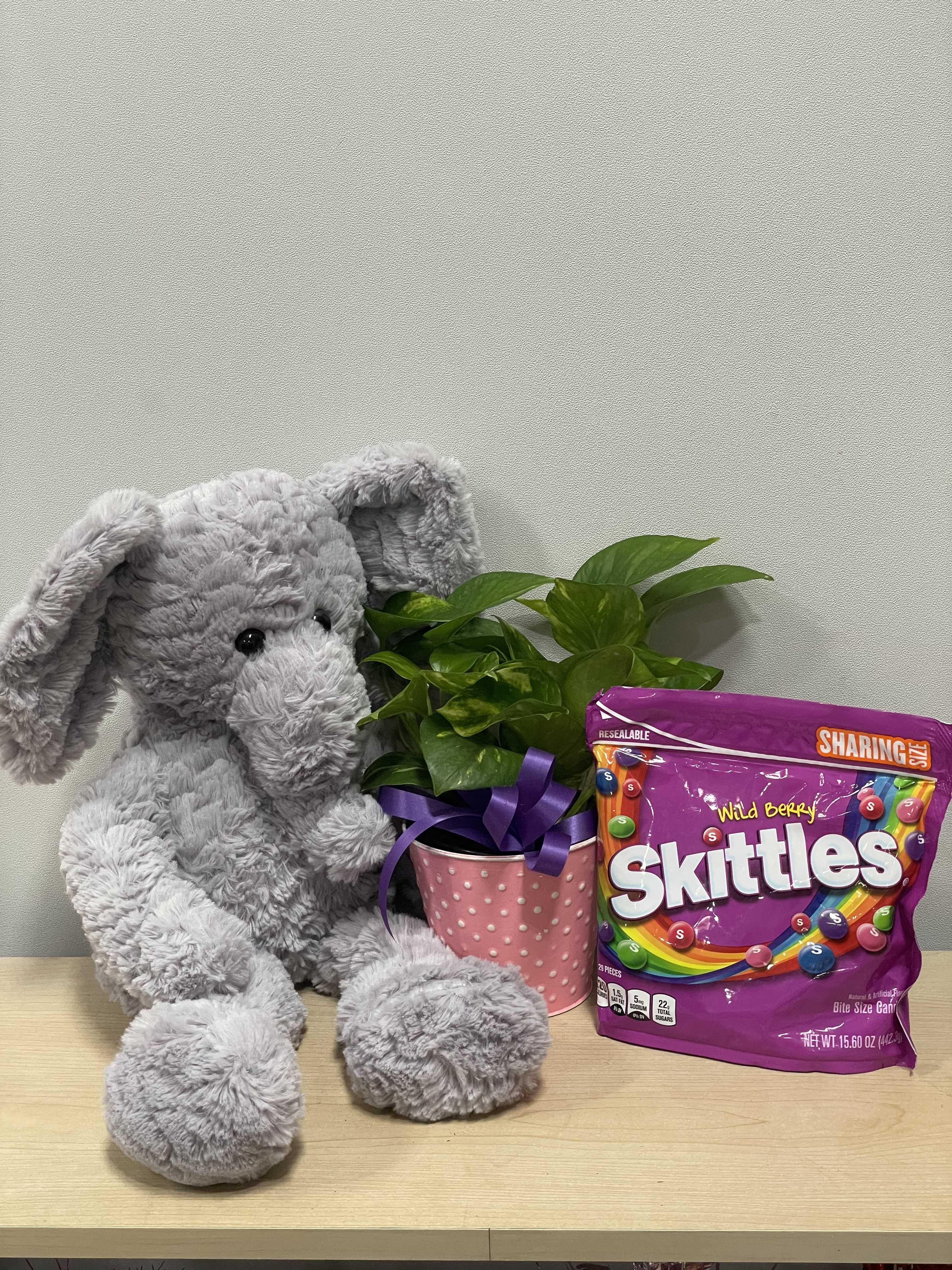 Gray plush elephant beside a potted plant and a bag of Skittles