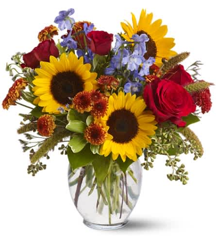 Sunny Skies - Sunflowers, blue delphinium, red roses and spray roses, and brown button spray chrysanthemums – accented with seeded eucalyptus, variegated pittosporum, myrtle and dried millet – are delivered in a clear glass ginger vase. Approximately 14" (W) x 14.5" (H). TFWEB233