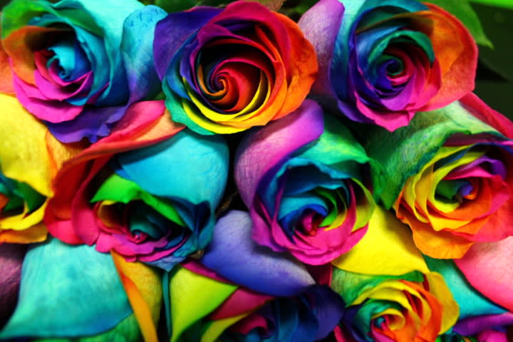 Bouquet of rainbow-colored roses