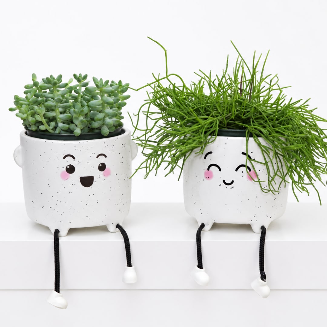 Two small potted succulents in smiling white planters with dangling legs