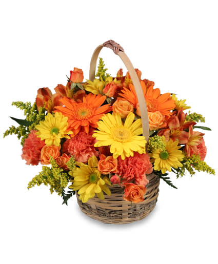 Caregiver Basket by FSN - Orange and yellow Gerberas, Orange spray Roses, yellow daisy poms, orange Alstroemeria, and orange Carnations. Shown at $55. 