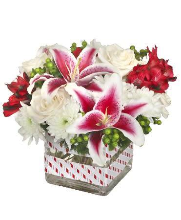 Starry-Eyed Joy by FSN - A compact arrangement suitable for the holidays. Contains pink stargazer lilies, white cushions, white roses, greens, etc.. 