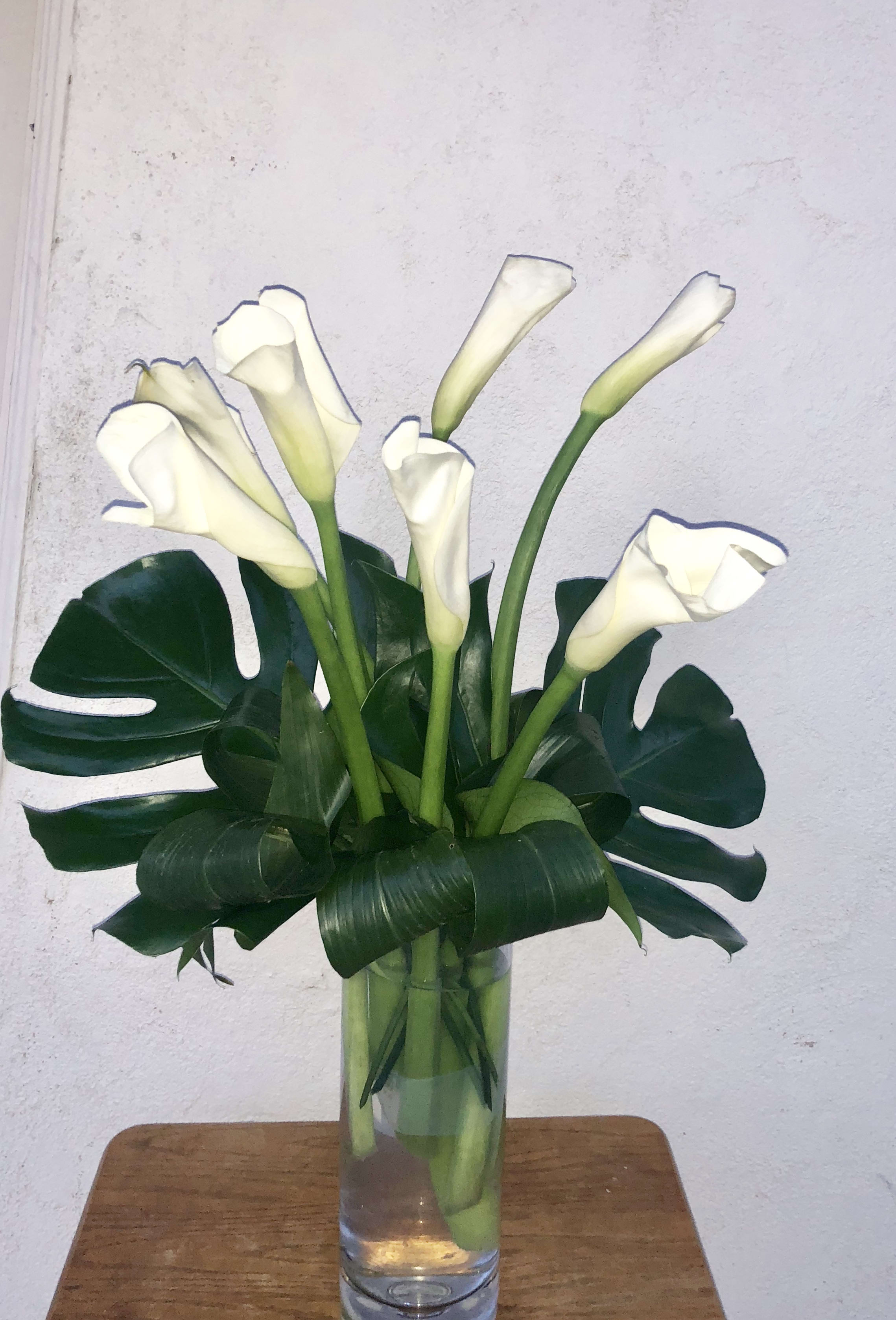 White calla lilies in a clear glass vase with large dark green leaves
