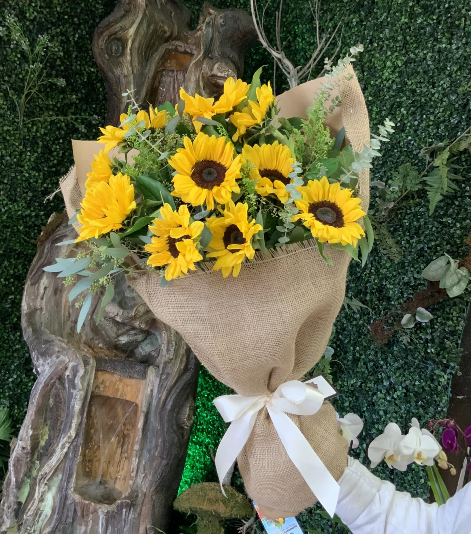 Bouquet of yellow sunflowers wrapped in burlap with a white ribbon