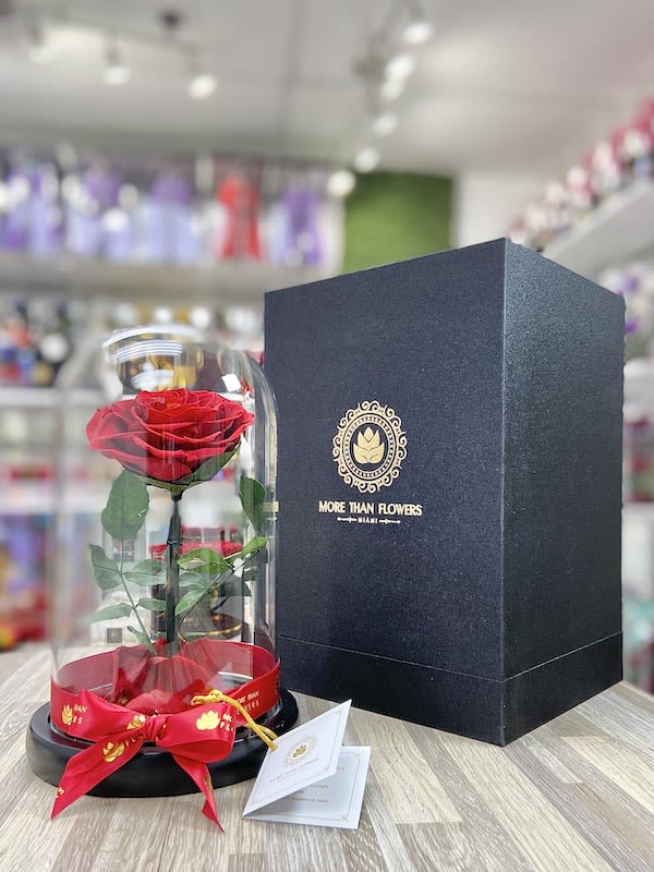 Single red rose under a glass dome with red ribbon beside a black gift box.
