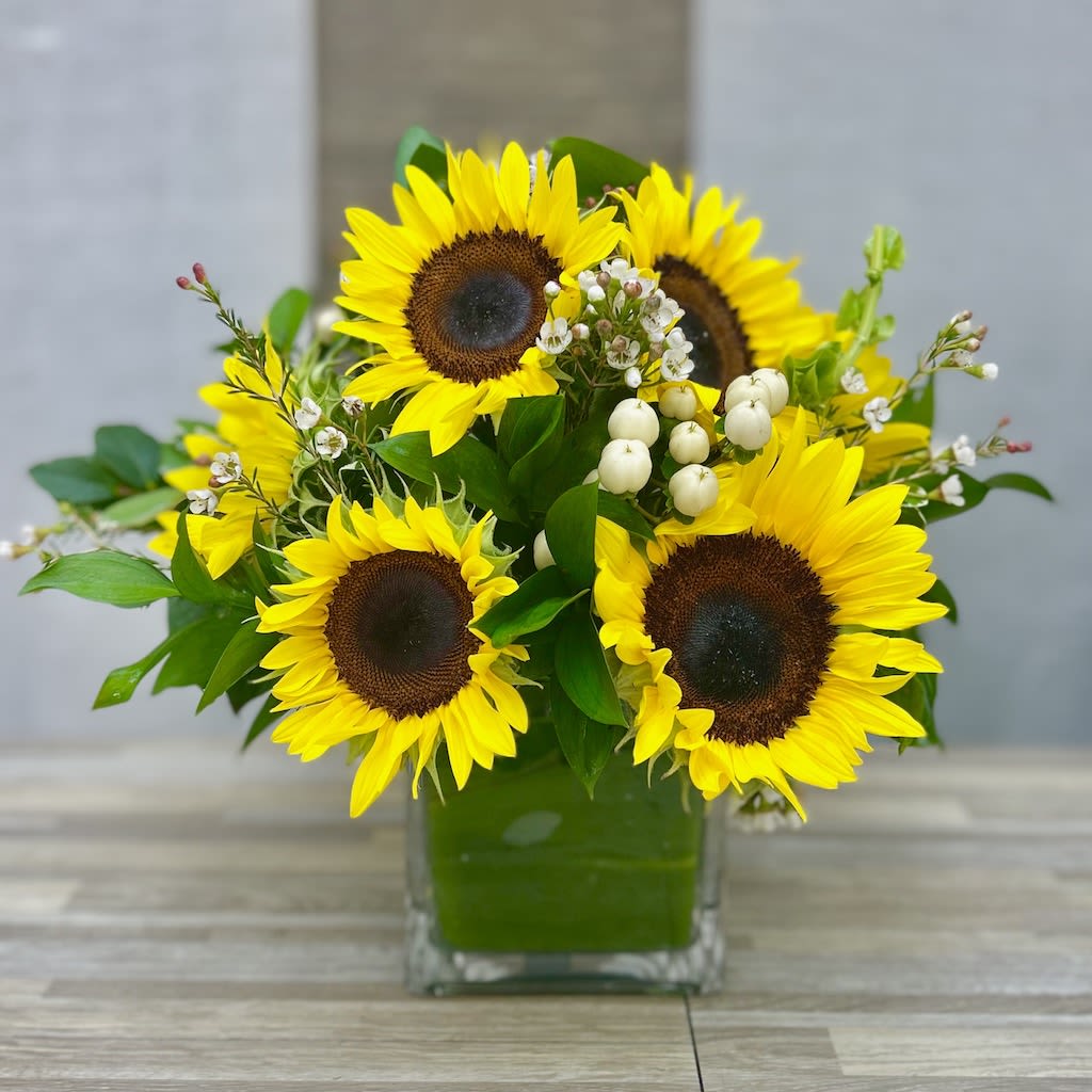 Yellow sunflower arrangement with white berries in a square glass vase