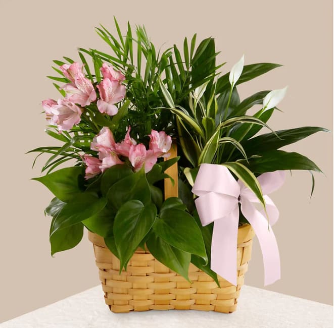 Pink flowers arranged in a woven basket with a pink ribbon