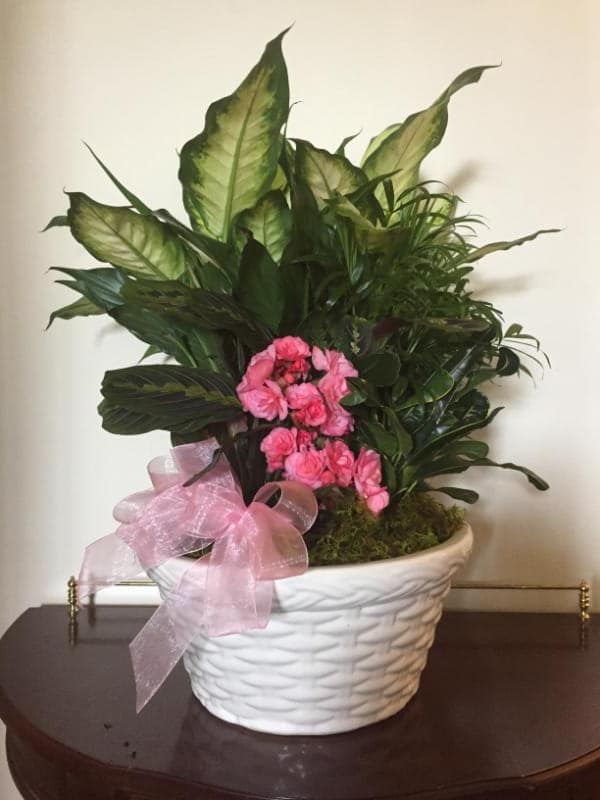 Pink flowers in a white woven basket planter with a pink ribbon