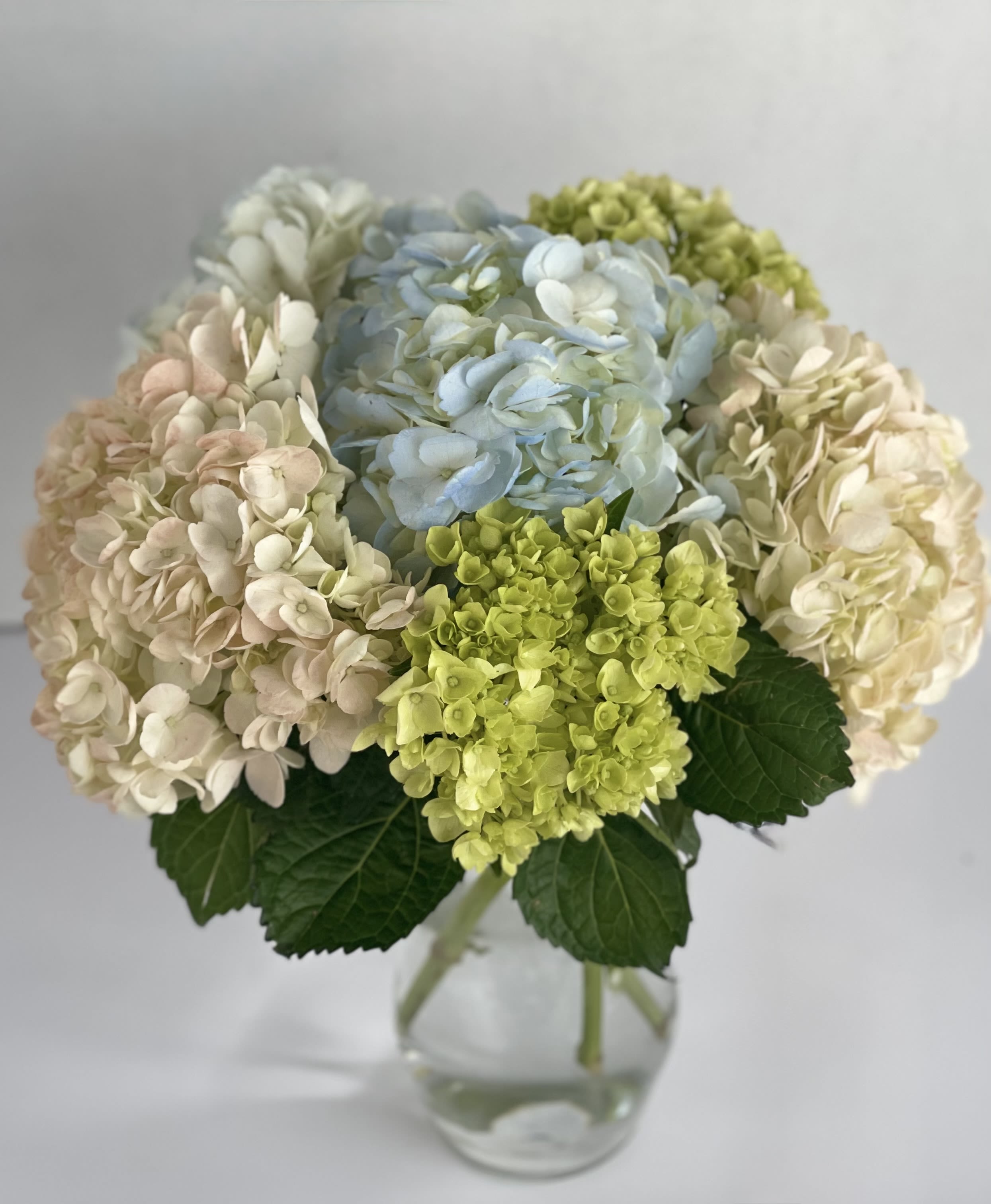 Hydrangea bouquet in a clear glass vase with blue, cream, and green blooms