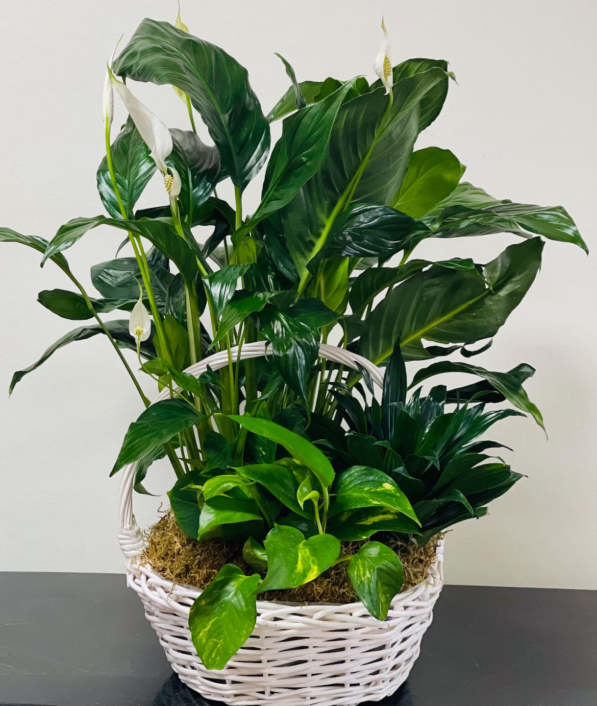 Basket of green houseplants with white peace lily blooms