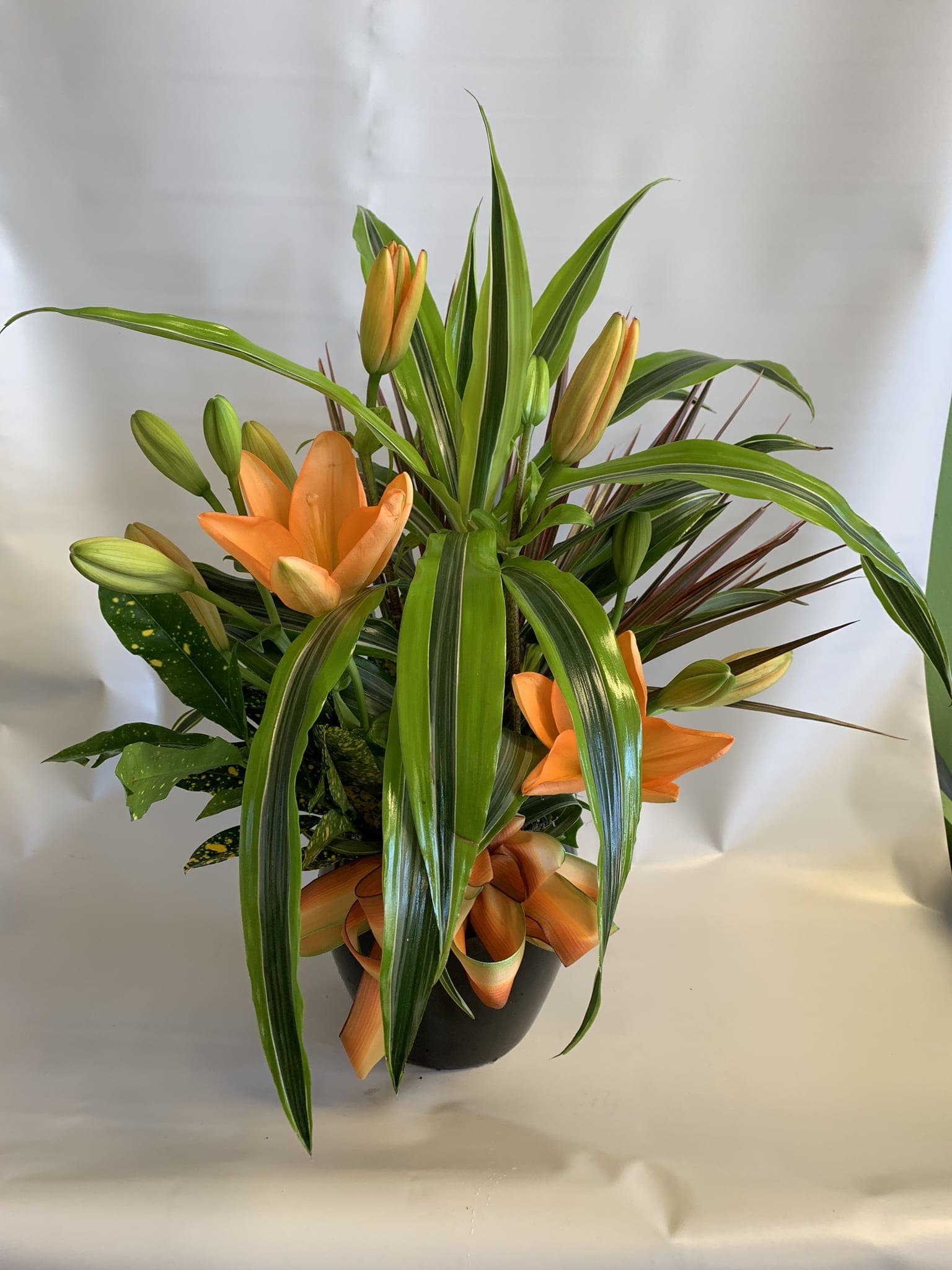 Orange lilies in a black pot with long green leaves
