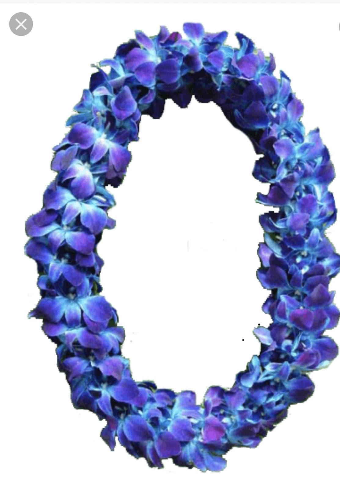 Blue and purple floral lei on a white background