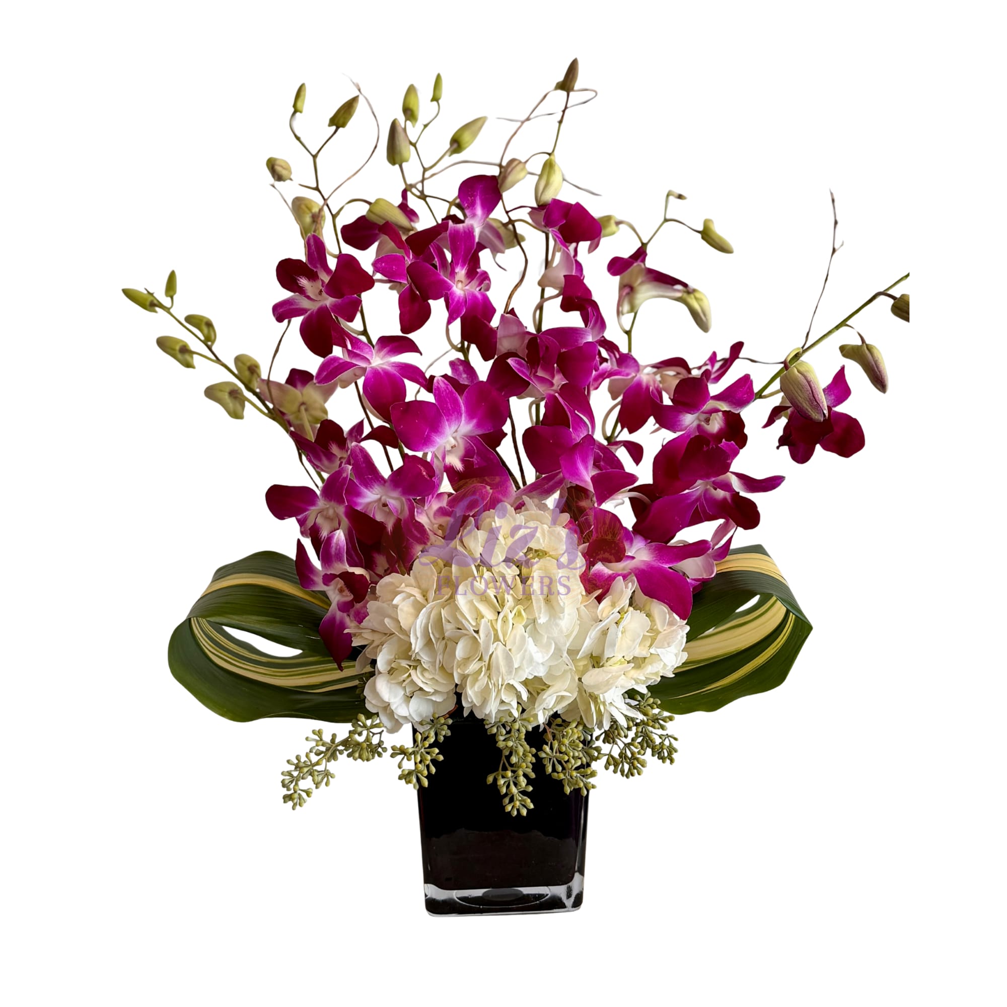 Purple dendrobium orchids and white hydrangeas in a black square vase with striped foliage
