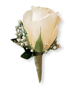 Cream rose boutonniere with small white filler flowers