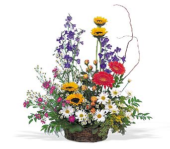 Mixed flower basket with sunflowers, daisies, and red blooms