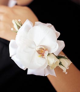White orchid wrist corsage with ribbon on a person's wrist