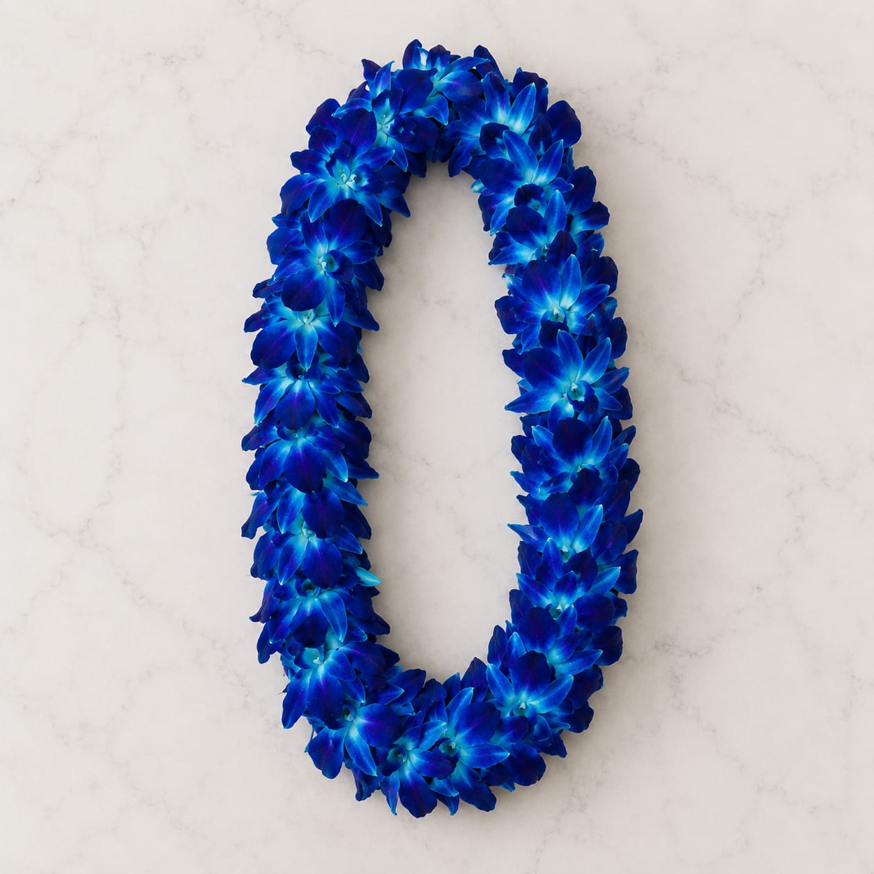 Ocean Blue Orchid Lei – Graduation Flower Lei  - Make graduation day unforgettable with our handcrafted Ocean Blue Orchid Lei, featuring rich royal blue orchids carefully layered into a full, luxurious floral lei. Designed to symbolize celebration, honor, and accomplishment, this elegant piece brings a vibrant island-inspired touch to any graduation ceremony or special achievement.  Perfect for high school graduations, college commencements, ceremonies, performances, and milestone celebrations, this premium orchid lei is created fresh with attention to detail for a polished and photo-ready presentation. The striking blue tones make it a standout gift for graduates wanting something bold, modern, and memorable.  Flowers Included Fresh Blue Dendrobium Orchids Perfect For Graduation Ceremonies High School Graduates College Graduates Celebrations &amp; Milestones Hawaiian-Inspired Events Photo Moments &amp; Gifts Design Details Handcrafted fresh orchid lei Rich royal blue floral tones Full and luxurious presentation Lightweight and comfortable to wear Tropical-inspired elegant design Note  Flower shades may naturally vary slightly due to seasonal availability while maintaining the overall color palette and style of the lei.  Categories: Graduation Flowers, Orchid Leis, Tropical Flowers, Celebration Flowers, Hawaiian Style Leis