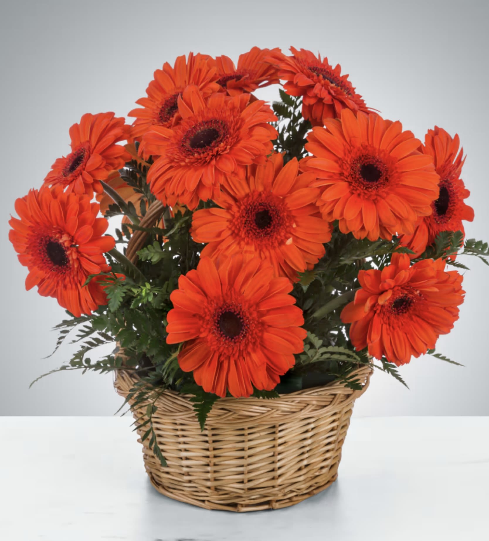 Basket of bright orange gerbera daisies with greenery
