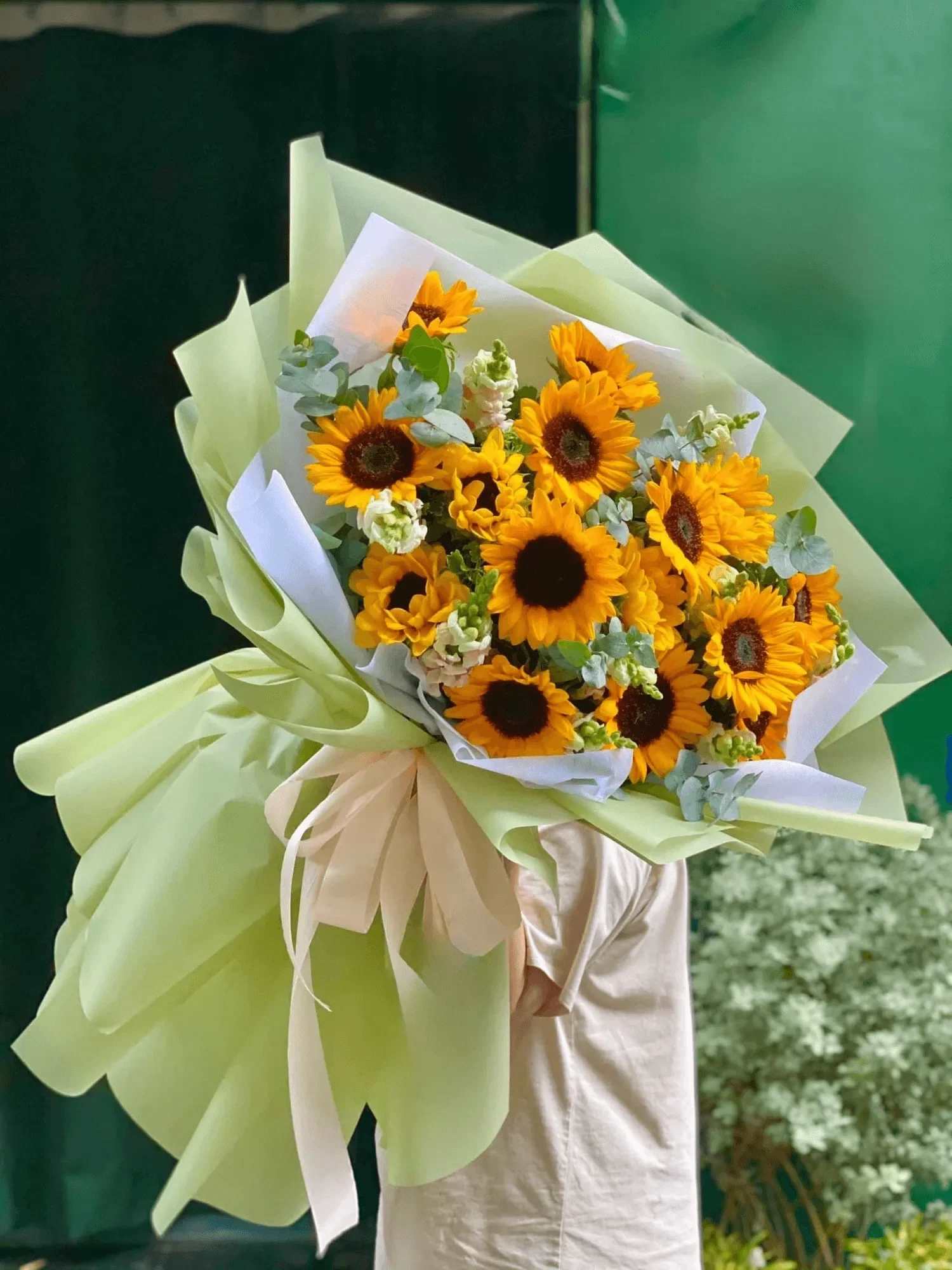 Bouquet of yellow sunflowers wrapped in pale green paper