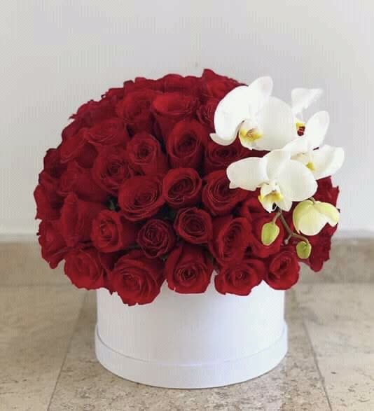 Red roses with white orchids in a white hat box