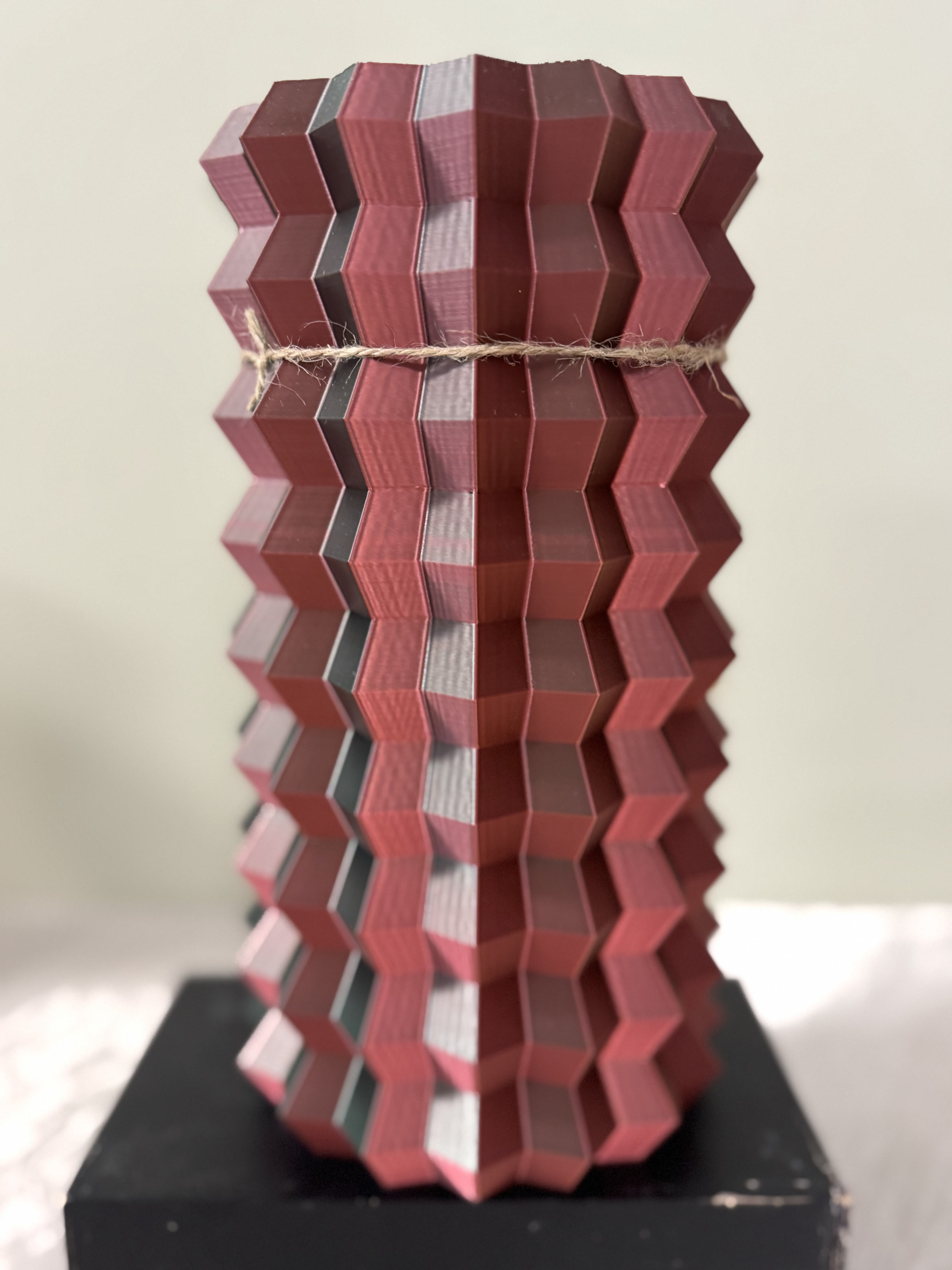 3D color changing vase  shipping only - This product is manufactured using 3D printing, an energy-efficient process that enables on demand production while significantly reducing waste compared to traditional manufacturing methods.  Made with a biodegradable polymer derived primarily from renewable resources such as corn, sugarcane, and beets.  These raw materials are fermented to produce lactic acid, which is then polymerized to form PLA.    -Vases are ideal for both fresh and dried flowers. -Not intended for food use.  -Not recommended for outdoor use in direct sunlight.   -Handle with care -100% waterproof.  ***This item will be shipped***