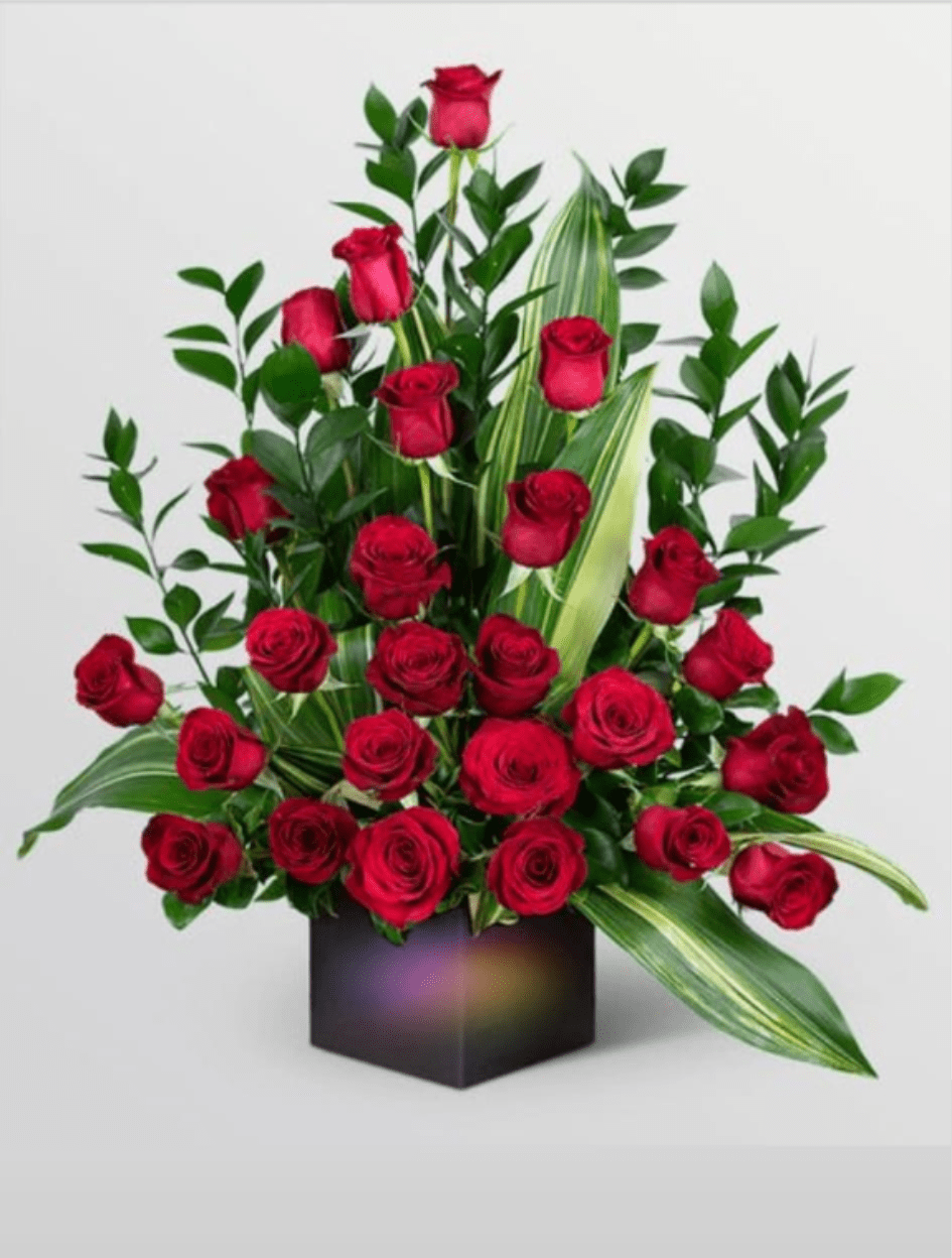 Red Rose Arrangement in Black Square Vase - A dense cluster of red roses rises from a sleek black square vase to create a bold anniversary bouquet that reads as timeless romance. The striking contrast of Red roses and glossy Green foliage gives the arrangement a classic, polished silhouette that immediately says "I love you"-perfect for anniversaries or any Love and Romance moment, and suitably respectful for Sympathy and Funeral settings where dignity and deep feeling are called for.  This flower arrangement features tightly grouped roses set against upright, long glossy leaves for height and a layered, formal look. The black square vase adds modern structure and a strong visual base in Black while keeping the focus on the rich red blooms. The composition is compact yet substantial, making a confident tabletop statement without overwhelming a room.  For the person you're celebrating, this arrangement feels like a deeply considered gesture-romantic and sincere for a partner on an anniversary or quietly reverent when sent for sympathy. Designed to arrive ready to display, it's an elegant choice for delivery in Sunrise, FL. To keep the roses looking their best, place the vase where they'll avoid direct heat and refill with fresh water as needed.