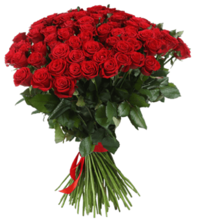 Regally Bouquet Red Roses Arrangement - A lush dome of vivid red roses commands the room in this romantic anniversary bouquet - the perfect Valentine's Day or love-themed gift to make someone feel treasured. The tightly packed, uniform blooms create a luxurious, jewel-like mass that reads as both classic and unforgettable, so the person you're thinking of will know this is a gesture of true devotion.  Deep green foliage peeks beneath the rounded crown of roses, and long stems are gathered and finished with a matching red ribbon for a formal, polished presentation. The dense, abundant shape gives strong visual impact from every angle and works beautifully on a dining table, mantle, or at the bedside.  Choose this arrangement to mark anniversaries, romantic milestones, or to say "I love you" in a way that feels both elegant and grand. Provided tied at the base with a ribbon; trim stems and refresh water every couple days to keep blooms looking their best.