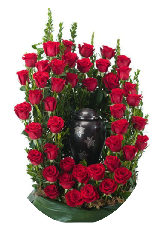 Remembrance Urn Arch Red Roses Arrangement - A dense ring of deep red roses frames a black urn for a striking sympathy arrangement that reads as both elegant and solemn. This memorial floral tribute is designed for a funeral or remembrance service, where the rich red roses and dark container convey respect and lasting affection for the person you're honoring.  The design features tightly packed red roses layered at varying heights in a tall oval silhouette, with upright green foliage rising behind the blooms to add height and structure. The black urn at the center, accented with subtle star-like details, provides dramatic contrast and a formal, traditional look that draws the eye to the focal point.  Choose this arrangement to express enduring love and reverence at a service or graveside-it's the kind of tribute that helps the bereaved feel seen and comforted. Sized for visibility on a casket or memorial table; for ordering or delivery details, please contact the shop so we can ensure timely placement for the service.