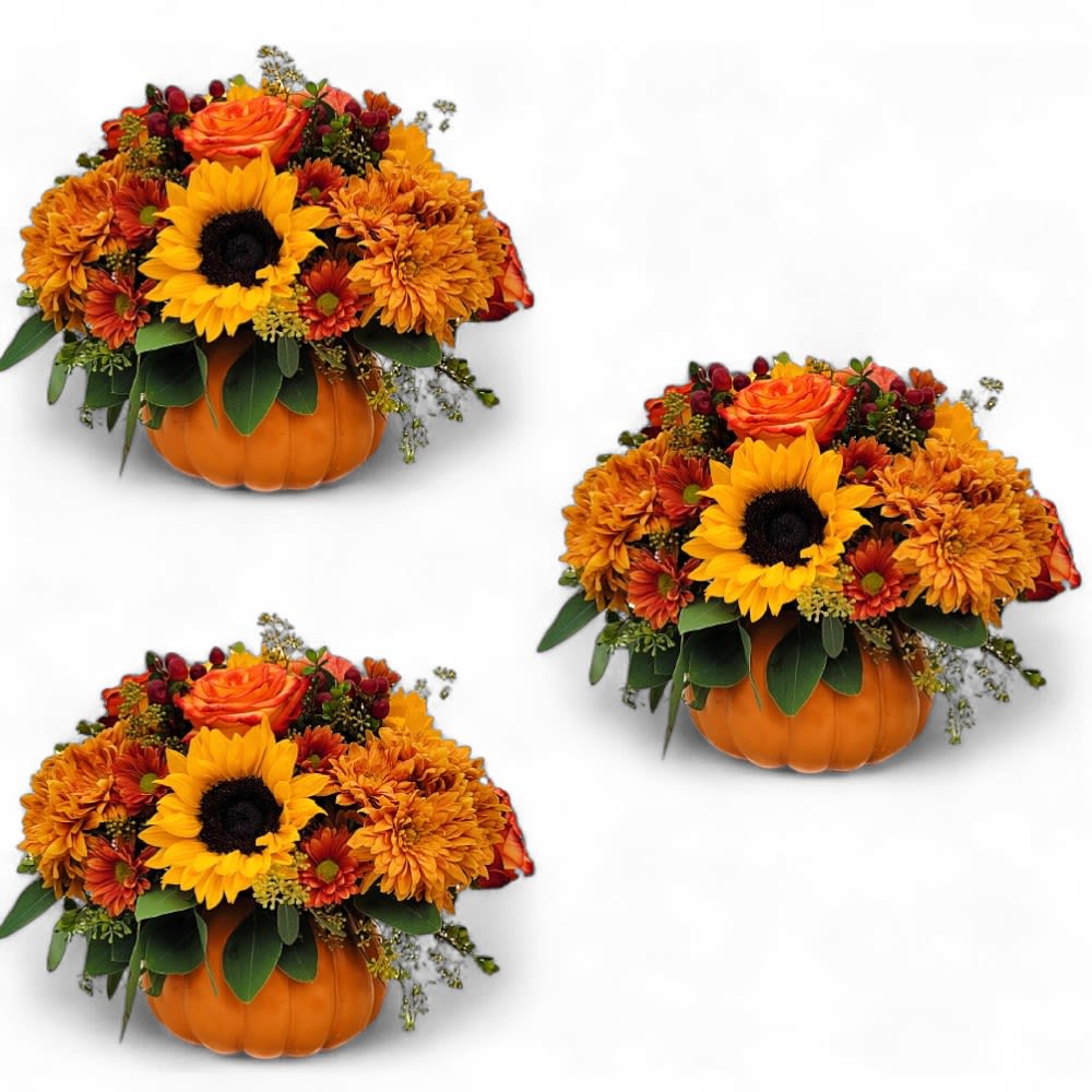 Autumn Pumpkin Trio - Thanksgiving Table Centerpieces - This is a set of three of our Autumn Pumpkin arrangements, perfect to set on tables around your Autumn or Thanksgiving Holiday gathering! Need more than three? Just give us a call, we'll take care of the rest. Mark one more thing off your to do list!  Bring the beauty of fall indoors with this stunning floral arrangement of rich, autumnal hues. A variety of fall flowers, including roses, sunflowers, daisies, hypericum, and eucalyptus greens, are artfully arranged in a cute 7-inch ceramic pumpkin. The vibrant colors and lush textures of this arrangement create a warm and inviting atmosphere that is perfect for the season.  Each centerpiece approximate size: 12" x 12" 