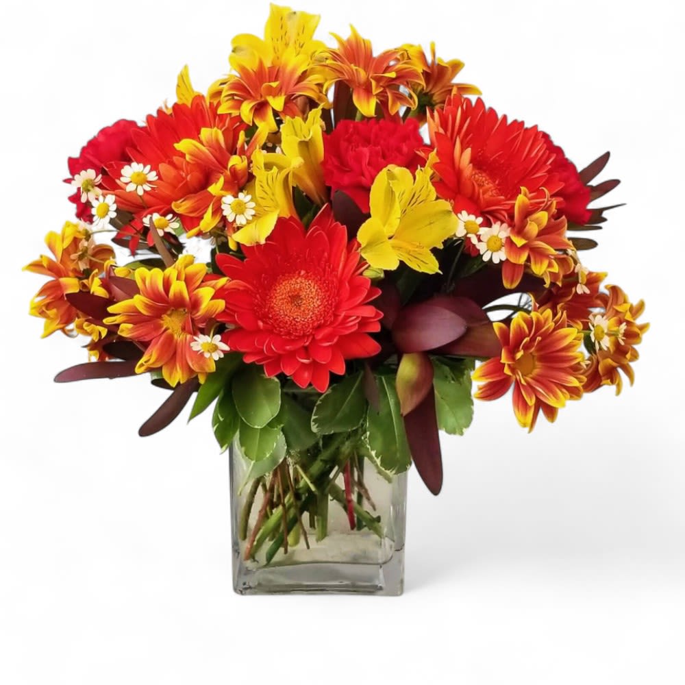 Autumn Blaze Mixed Fall Flowers - Seasonal Vase Arrangement | Long Beach Delivery - Ignite the spirit of the season with our "Autumn Blaze" Mixed Fall Flower Arrangement from A Beautiful California Florist in Long Beach! This captivating bouquet captures the vibrant hues of autumn, featuring a lively mix of rich reds, warm yellows, and fiery oranges, reminiscent of falling leaves and cozy days. Expertly arranged in a chic clear glass vase, it's a celebration of nature's beauty.  Our highly-rated, woman-owned flower shop has been a trusted part of the Long Beach, CA community for over 90 years. We hand-select the freshest seasonal blooms of the day to create each unique arrangement, ensuring a delightful surprise that embodies the warmth and charm of fall. Perfect for Thanksgiving hostess gifts, harvest celebrations, birthdays, or simply to add seasonal cheer to your home or office.  "Ba de ya, dancing in September, Ba de ya, never was a cloudy day!" This is an A Beautiful California Florist exclusive, designed to bring joy throughout the entire autumn season.  Enjoy convenient same-day flower delivery across Long Beach, CA, and surrounding areas. For those who prefer, easy in-store pickup is also available at our shop: 455 Atlantic Ave, Long Beach, CA, 90802.  Embrace the beauty of fall with "Autumn Blaze." Order your seasonal centerpiece today!